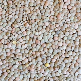 Šošovica veľkozrnná 5 kg