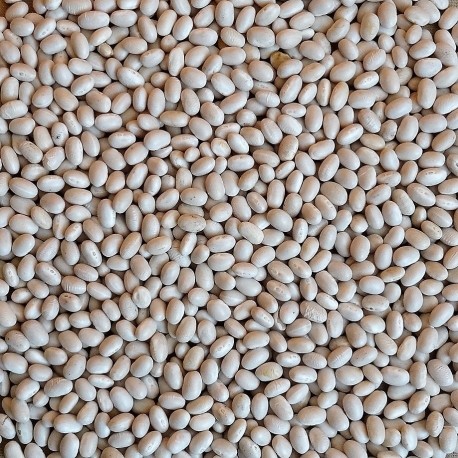 Fazole bílá 500 g