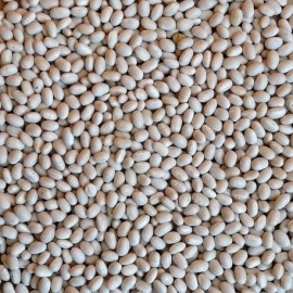 Fazole malá bílá 500 g