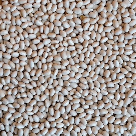 Fazole malá bílá 500 g