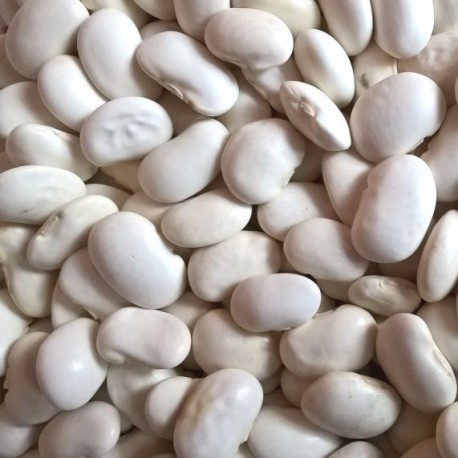 Fazole střední bílá 500 g