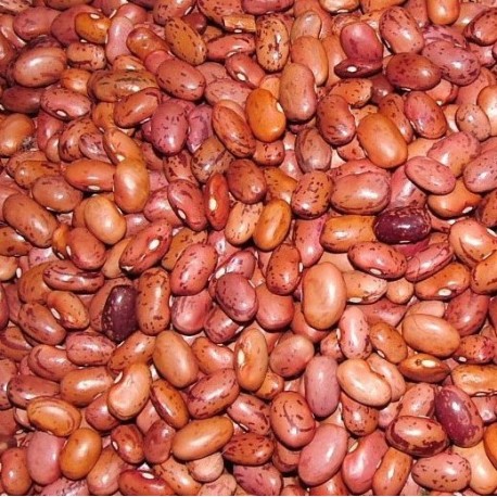 Fazole malá malinová 500 g